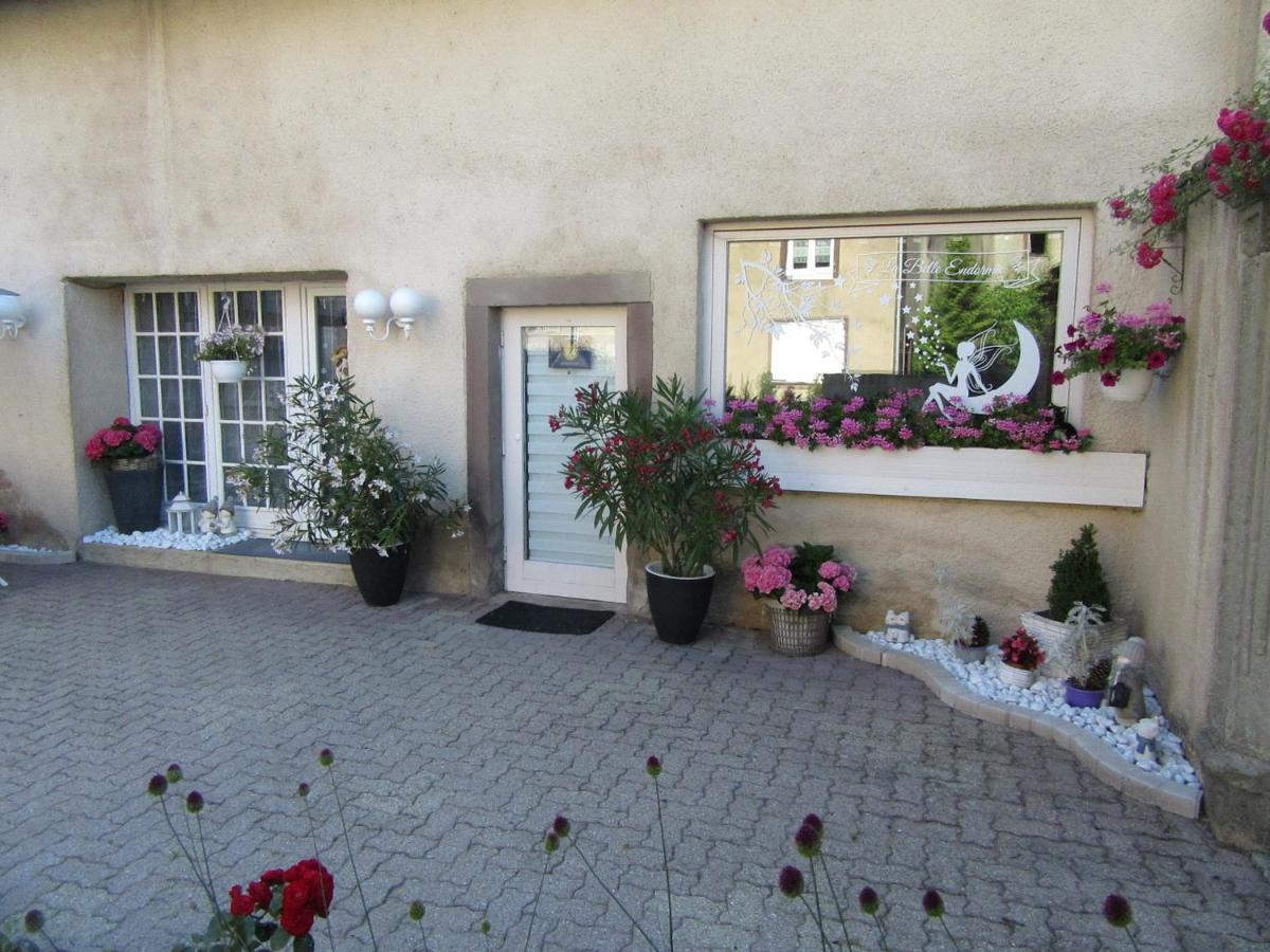 La Belle Endormie - Appartement A Fenetrange Exterior foto
